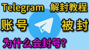 Telegram使用政策解析